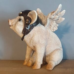 Flying piglett