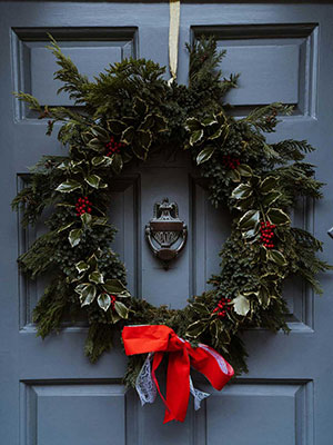 Christmas fresh spruce